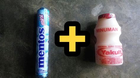 yakult + mentos|Mentos + Yakult experiment (Warning: Not for people who have。